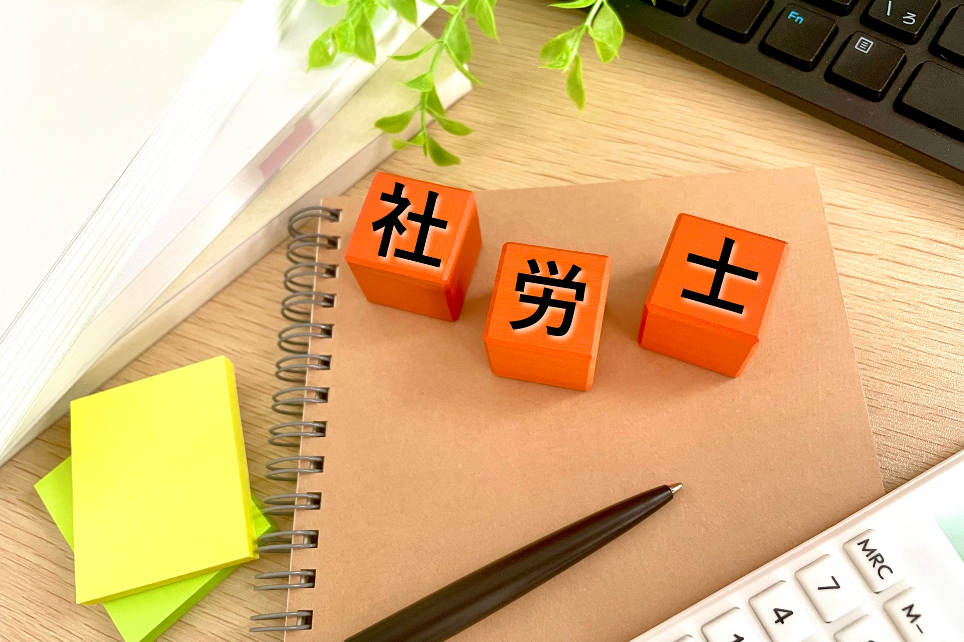合格から4年たった今、令和7年度社労士試験の選択式を解いたら、何点取れるのか検証。頼るのは「文脈」と「勘」のみ!? 最後に救済予想もします。